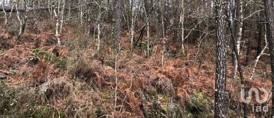 Terreno em Santa Cruz da Trapa e São Cristóvão de Lafões de 26 728 m²