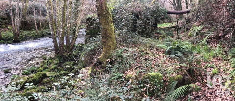 Terreno em Santa Cruz da Trapa e São Cristóvão de Lafões de 26 728 m²