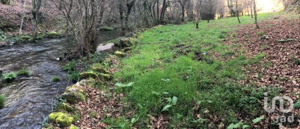 Terreno em Santa Cruz da Trapa e São Cristóvão de Lafões de 26 728 m²