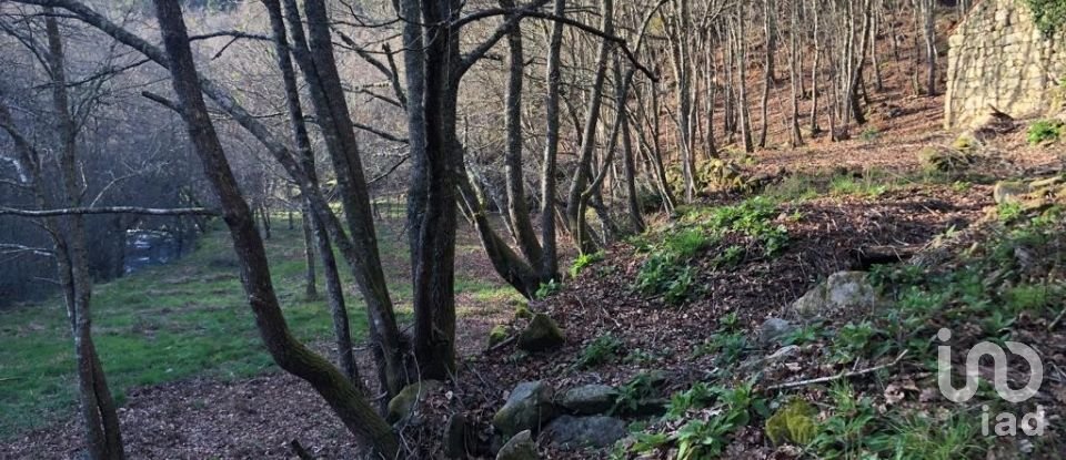Terreno em Santa Cruz da Trapa e São Cristóvão de Lafões de 26 728 m²
