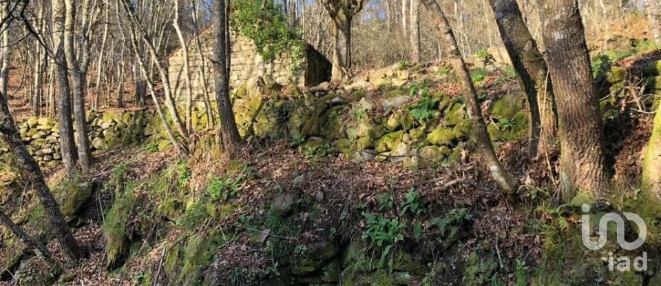 Terreno em Santa Cruz da Trapa e São Cristóvão de Lafões de 26 728 m²