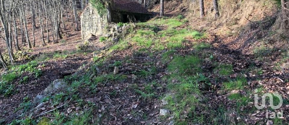 Terreno em Santa Cruz da Trapa e São Cristóvão de Lafões de 26 728 m²