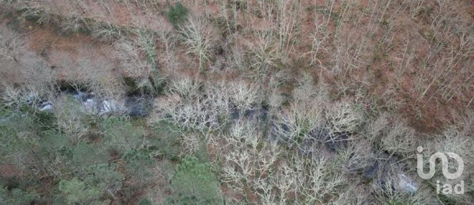 Terreno em Santa Cruz da Trapa e São Cristóvão de Lafões de 26 728 m²