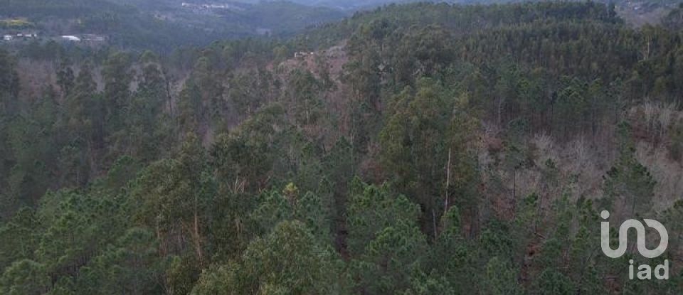 Terreno em Santa Cruz da Trapa e São Cristóvão de Lafões de 26 728 m²
