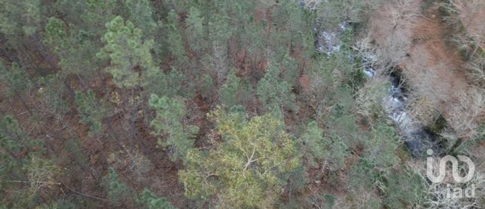 Terreno em Santa Cruz da Trapa e São Cristóvão de Lafões de 26 728 m²