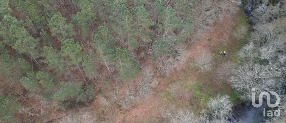 Terreno em Santa Cruz da Trapa e São Cristóvão de Lafões de 26 728 m²