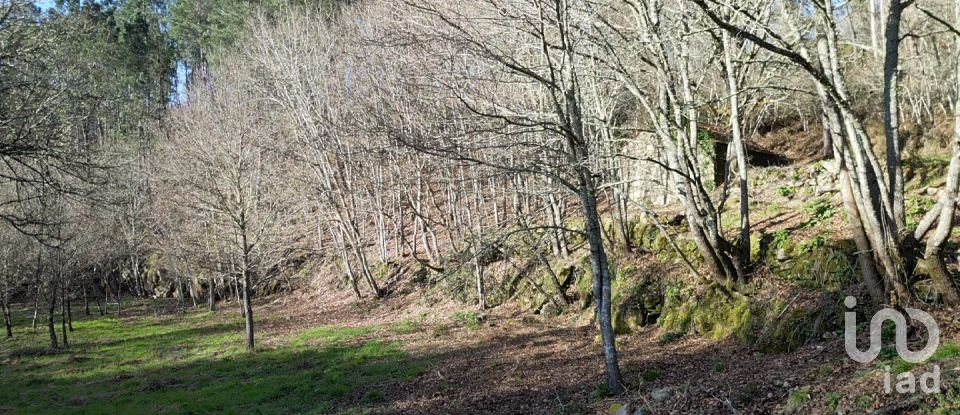 Terreno em Santa Cruz da Trapa e São Cristóvão de Lafões de 26 728 m²