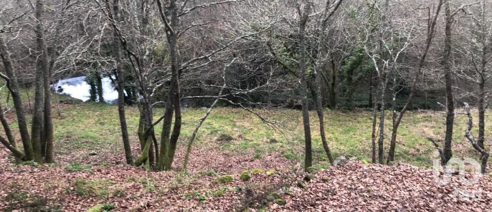 Terreno em Santa Cruz da Trapa e São Cristóvão de Lafões de 26 728 m²