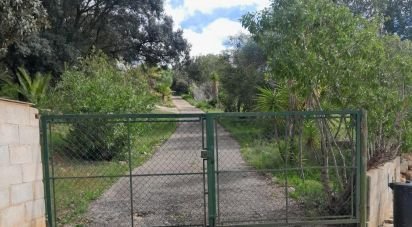 Terrain à Paderne de 9 560 m²