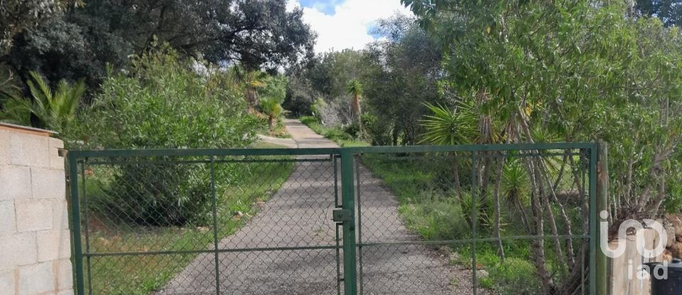 Terreno em Paderne de 9 560 m²