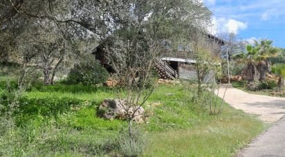 Terrain à Paderne de 9 560 m²