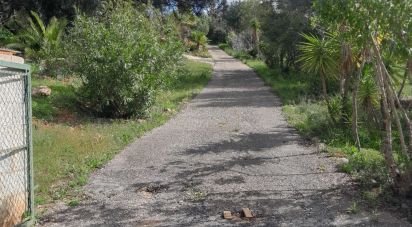 Terrain à Paderne de 9 560 m²