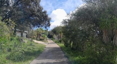 Terrain à Paderne de 9 560 m²