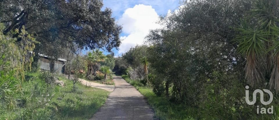 Terreno em Paderne de 9 560 m²