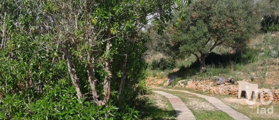 Terreno em Paderne de 9 560 m²