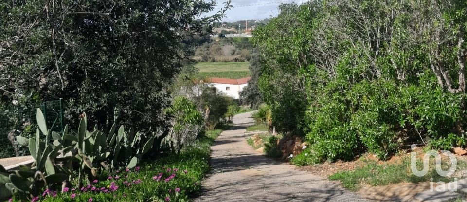 Terreno em Paderne de 9 560 m²