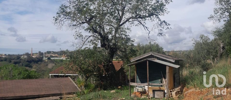 Terreno em Paderne de 9 560 m²