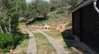 Terrain à Paderne de 9 560 m²