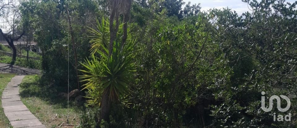 Terreno em Paderne de 9 560 m²