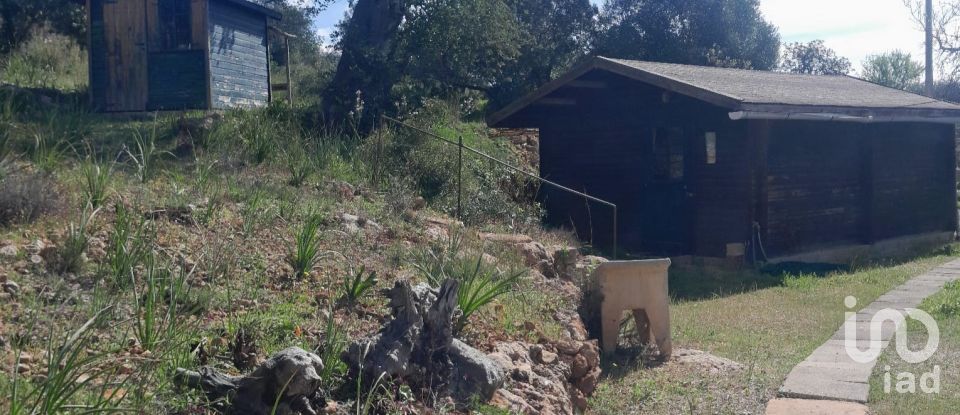 Terreno em Paderne de 9 560 m²