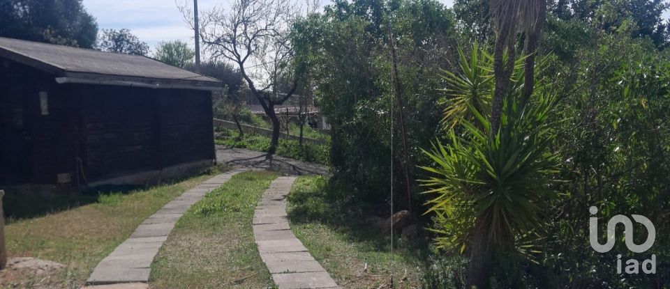 Terreno em Paderne de 9 560 m²