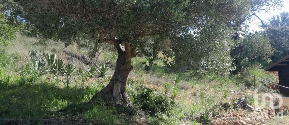 Terreno em Paderne de 9 560 m²