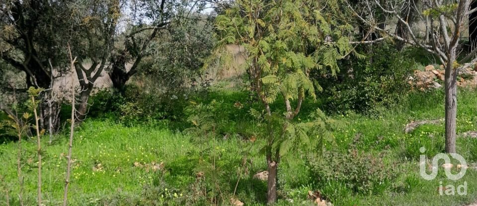 Terreno em Paderne de 9 560 m²