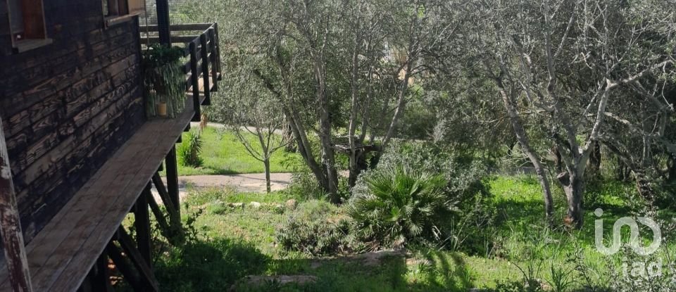 Terreno em Paderne de 9 560 m²