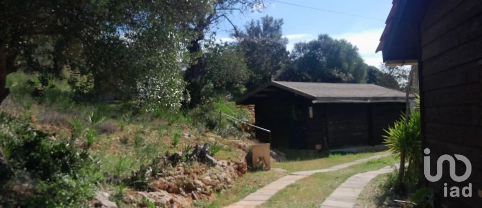 Terreno em Paderne de 9 560 m²