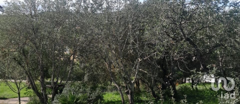 Terreno em Paderne de 9 560 m²