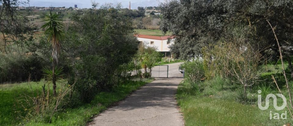 Terreno em Paderne de 9 560 m²