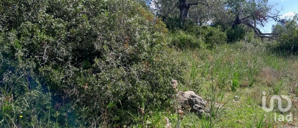 Terreno em Paderne de 9 560 m²