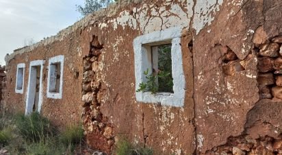 Maison rustique T1 à São Bartolomeu de Messines de 194 m²