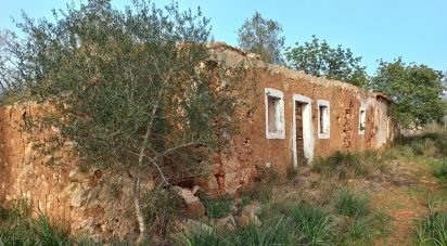 Maison rustique T1 à São Bartolomeu de Messines de 194 m²