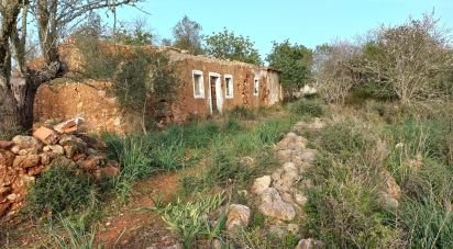 Maison rustique T1 à São Bartolomeu de Messines de 194 m²