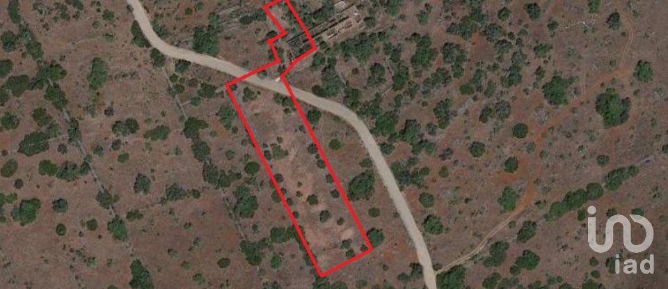 Country home T1 in São Bartolomeu de Messines of 194 m²