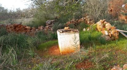 Maison rustique T1 à São Bartolomeu de Messines de 194 m²