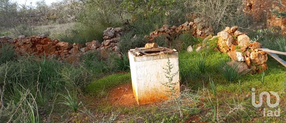 Country home T1 in São Bartolomeu de Messines of 194 m²