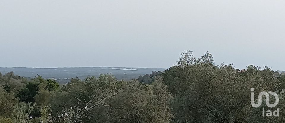 Country home T1 in São Bartolomeu de Messines of 194 m²