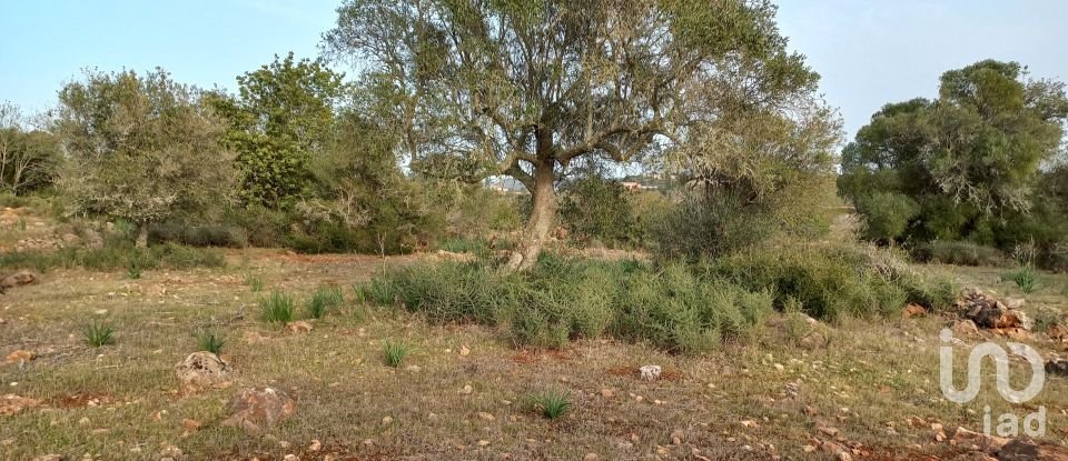 Country home T1 in São Bartolomeu de Messines of 194 m²