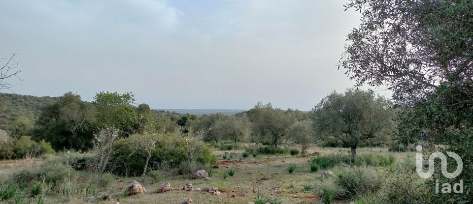 Country home T1 in São Bartolomeu de Messines of 194 m²