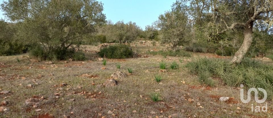 Country home T1 in São Bartolomeu de Messines of 194 m²