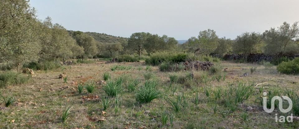 Country home T1 in São Bartolomeu de Messines of 194 m²