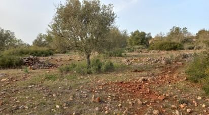 Maison rustique T1 à São Bartolomeu de Messines de 194 m²