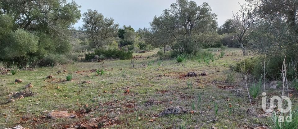 Country home T1 in São Bartolomeu de Messines of 194 m²