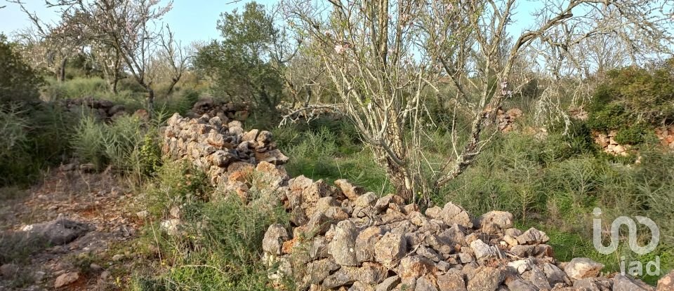 Country home T1 in São Bartolomeu de Messines of 194 m²