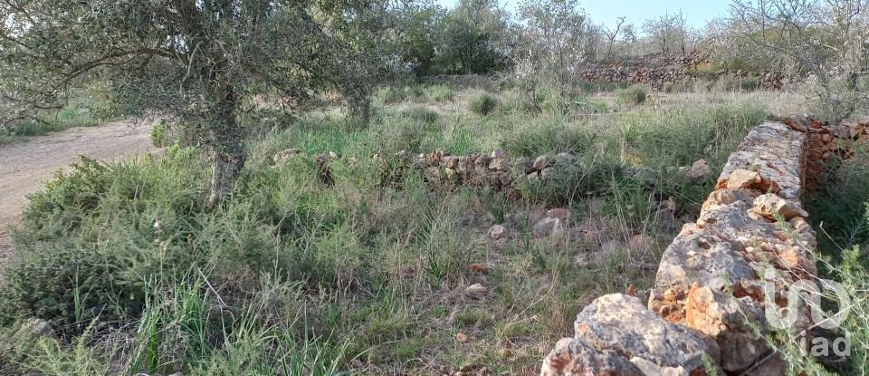 Country home T1 in São Bartolomeu de Messines of 194 m²