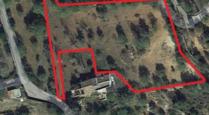 Terrain à Santa Bárbara de Nexe de 6 160 m²