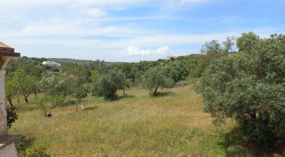 Terrain à Santa Bárbara de Nexe de 6 160 m²