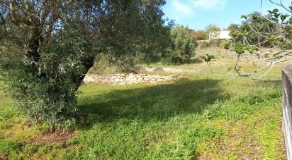 Terrain à Santa Bárbara de Nexe de 6 160 m²